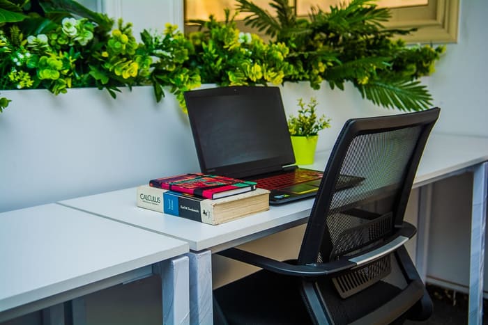 Shared workspace desks at Blooms running beneath a planted ledge of greenery