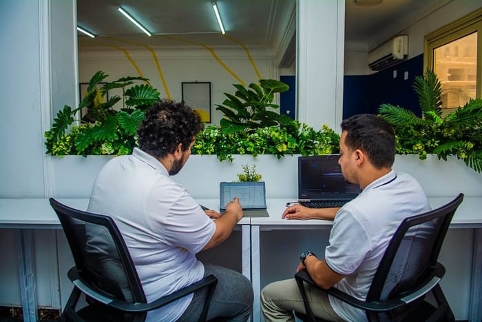 Two members working at dedicated desks facing the planted window ledge at Blooms