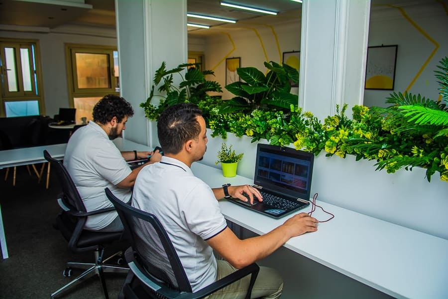 Two members working side by side at the shared desks beside the living plant wall at Blooms Business Hub in Alexandria